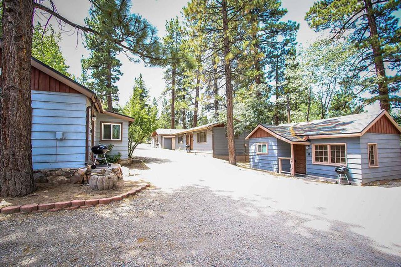 Fox N Bear Big Bear Lac Big Bear